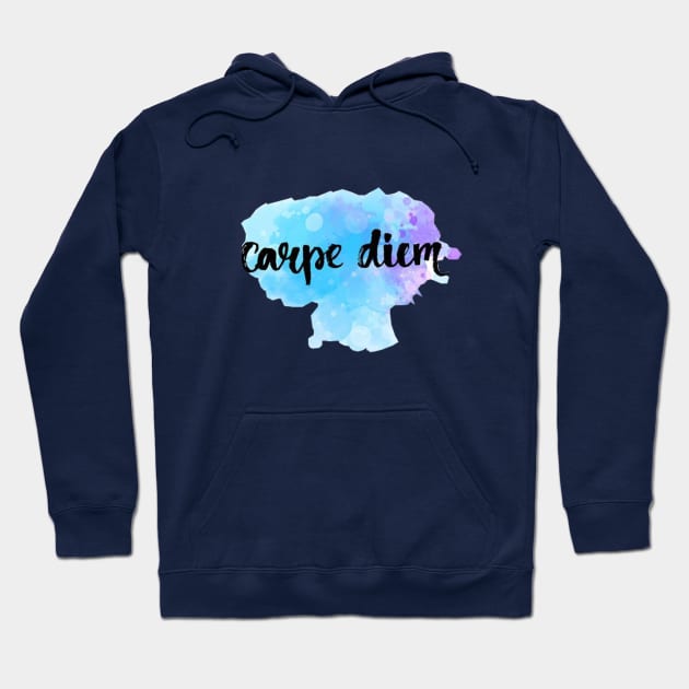 Carpe Diem - sieze the day Hoodie by Miki2501_